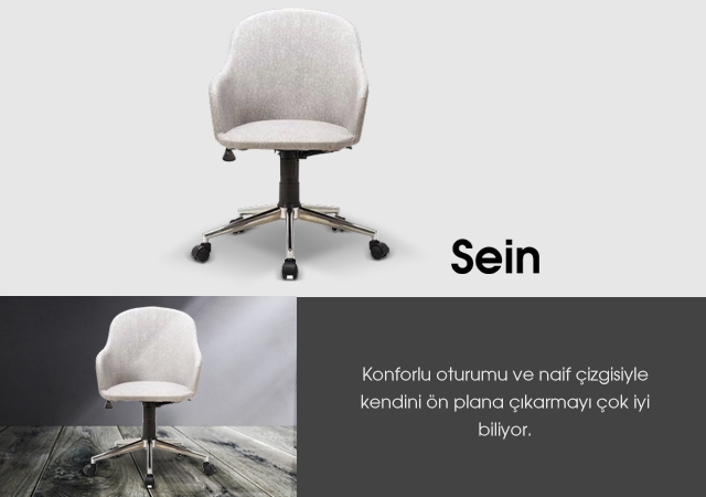 Sein